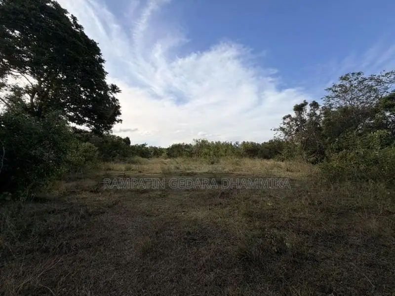 Land for Sale Sigiriya