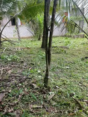 Pannipitiya Depanama 9.65 Perches of Land for Sale