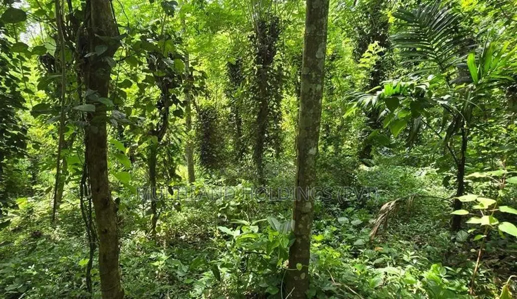 Land For Sale in Katugasthota (walking distance to town)