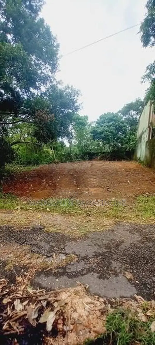 Land for Sale Pitipana