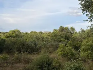 Land for Sale Sigiriya