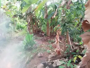 Land for Sale in Aluthgama
