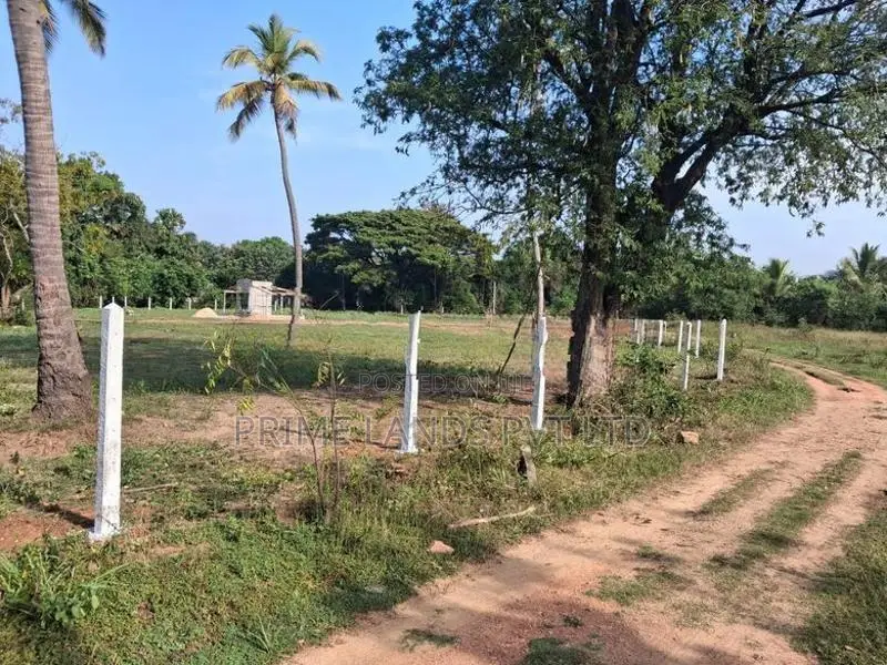 Land for Sale in Dambulla Kapuwaththa