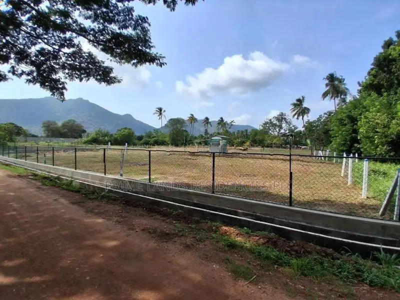 දඹුල්ල නගරසභා සීමාවෙන් සින්නක්කර බිම්කොටස් විකිණීමට
