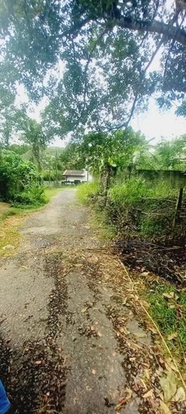 Land for Sale Pitipana