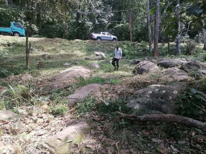 Land For Sale In Kandy