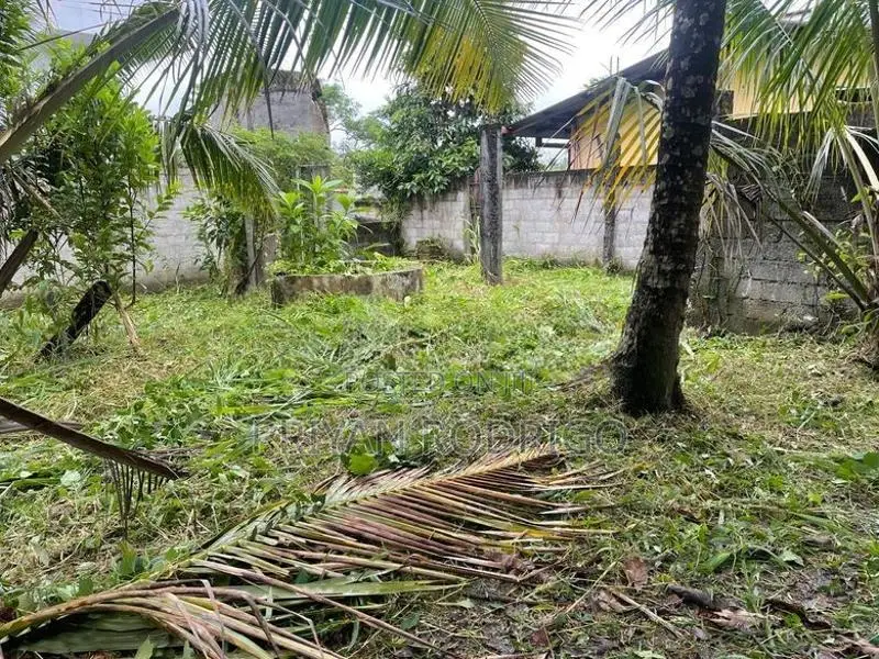 Pannipitiya Depanama 9.65 Perches of Land for Sale