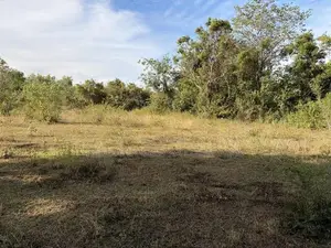 Land for Sale Sigiriya