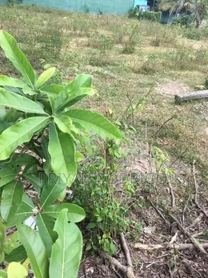 Kiribathgoda - Eriyawetiya 43 Perches of Land for Sale