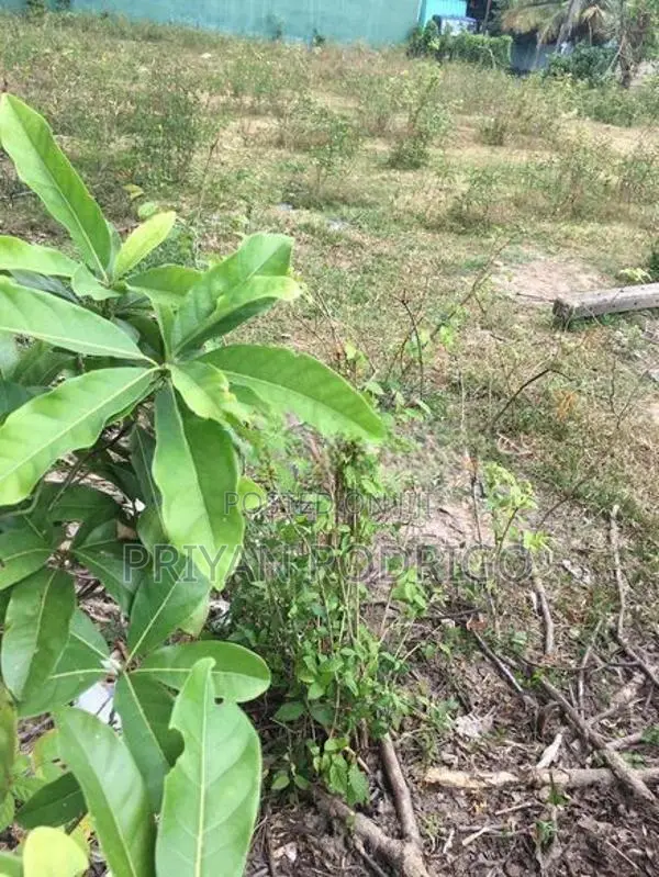 Kiribathgoda - Eriyawetiya 43 Perches of Land for Sale