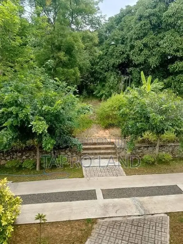 Hotel for Sale in Sigiriya