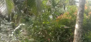 (GS-1071) Valuable Residential Land with Single House Sale in Homagama