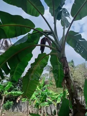 Land for Sale at Ja Ela