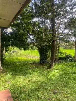 Land For Sale Mountlavinia