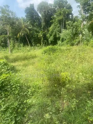 Land For Sale Mountlavinia