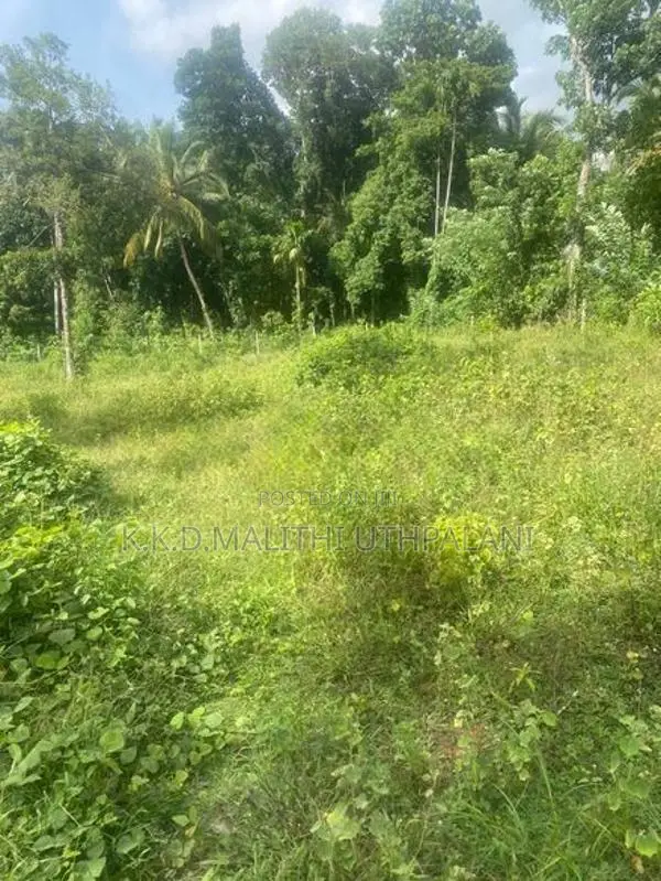 Land For Sale Mountlavinia