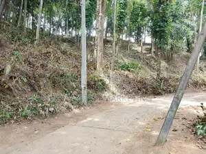 Land for Sale in Digana, Kandy