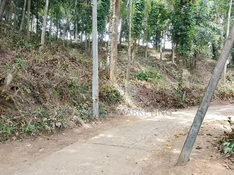 Land for Sale in Digana, Kandy