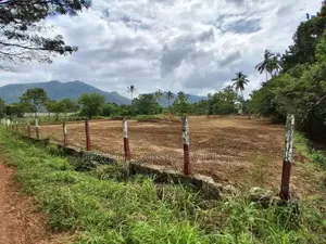 දඹුල්ල නුවර පාරෙන් නවතම සින්නක්කර බිම්කොටස්