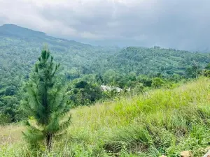 Lands For Sale In Nillamba