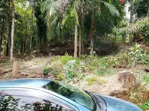 Land for Sale in Digana, Kandy