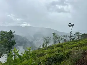 Lands For Sale In Nillamba