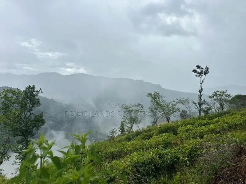 Lands For Sale In Nillamba