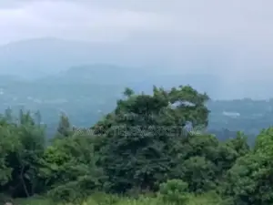 Land for Sale in Digana, Kandy