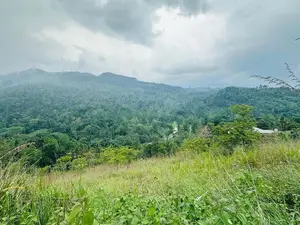 Lands For Sale In Nillamba