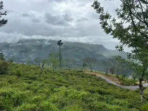 Lands For Sale In Nillamba