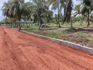 අනුරාධපුර නාච්චාදූව වැව අසලින් බිම්කොටස්
