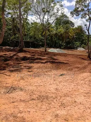 Valuable Land for Sale Near Dikwella