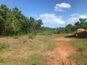 Factory Building With Land Sale At Hambanthota