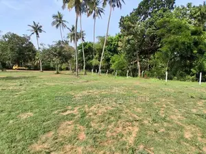 දඹුල්ල නුවර පාරෙන් නවතම සින්නක්කර බිම්කොටස්