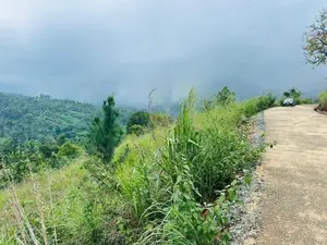 Lands For Sale In Nillamba