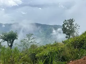 Lands For Sale In Nillamba