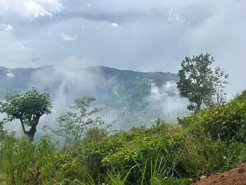 Lands For Sale In Nillamba