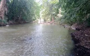 වැල්ලවාය හදපානාගල ගං ඉවුර ආසන්නයේ පර්චස් 60 ඉඩම විකිණීමට ඇත.