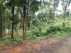 Lands For Sale In Nelumdeniya