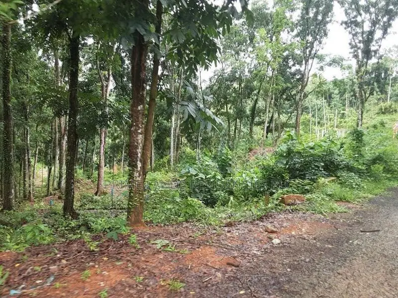 Lands For Sale In Nelumdeniya
