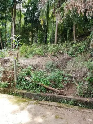 Land for Sale in Digana, Kandy