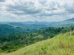 Lands For Sale In Nillamba