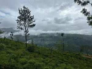 Lands For Sale In Nillamba