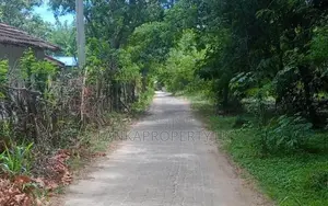වැල්ලවාය හදපානාගල ගං ඉවුර ආසන්නයේ පර්චස් 60 ඉඩම විකිණීමට ඇත.