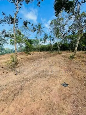 Valuable Land for Sale Near Dikwella