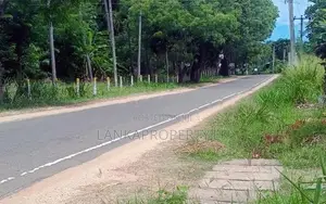 වැල්ලවාය හදපානාගල ගං ඉවුර ආසන්නයේ පර්චස් 60 ඉඩම විකිණීමට ඇත.