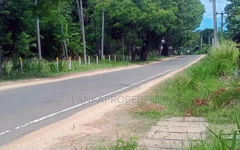 වැල්ලවාය හදපානාගල ගං ඉවුර ආසන්නයේ පර්චස් 60 ඉඩම විකිණීමට ඇත.