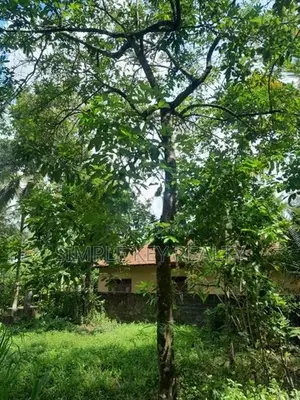 Land for sale gampaha miriswatta wathuregama road