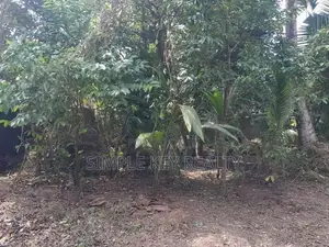 Land for sale gampaha miriswatta wathuregama road