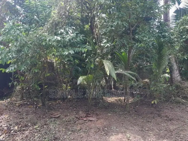 Land for sale gampaha miriswatta wathuregama road
